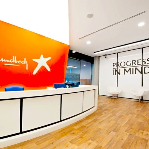 Ofis Dekorasyon Uygulama